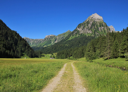 在 Oberseetal 和 Mt Brunnelistock 雷