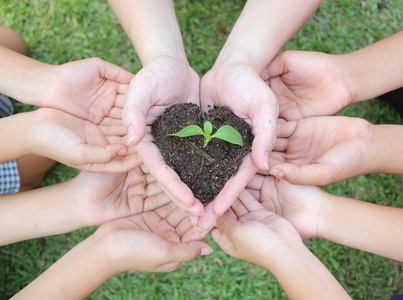 树树苗手栽芽在土壤与日落关闭男性手种植幼树在绿色背景下手握树苗在