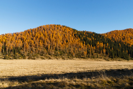 秋天的全景，从意大利的阿尔卑斯山