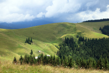 绿色的山谷, 绿色的森林, 山顶的山顶, 房子, 奶牛