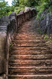 森林里的石步道图片