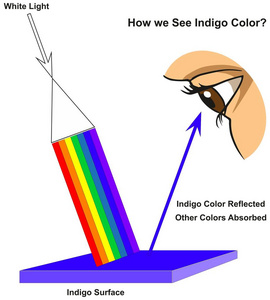 我们如何看到靛蓝色图表图显示可见光光谱在表面和颜色反射或吸收根据它的颜色为物理科学教育