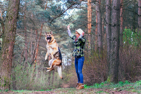 德国牧羊犬和漂亮女孩在森林里玩