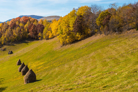 Apuseni 山上五彩缤纷的秋景。特兰西瓦尼亚, 罗马尼亚