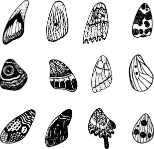 蝴蝶翅膀设置。图形涂鸦墨水艺术。孤立的元素。矢量 illustraion