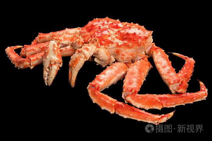 孤立在黑色背景上的红色帝王蟹