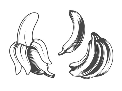 香蕉的图标集
