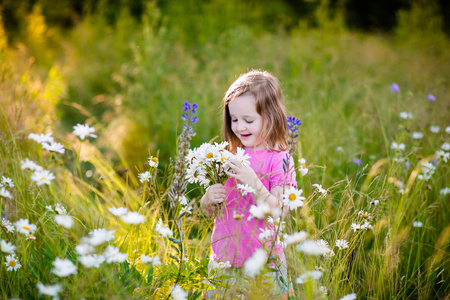 雏菊花场小女孩在雏菊花场照片