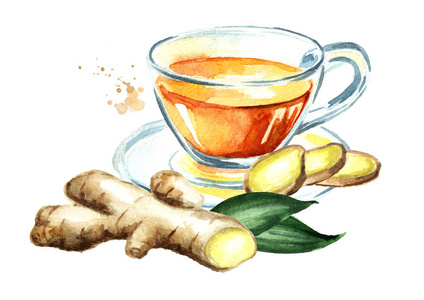 姜茶, 姜根, 健康饮品的概念.水彩手绘插图, 在白色背景下隔离照片
