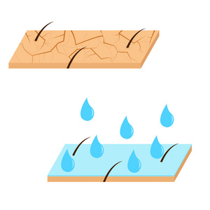 皮肤水化剖面图