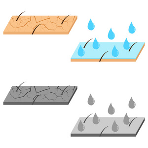 皮肤水化剖面图图片