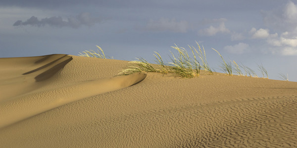 沙丘。戈壁沙漠，蒙古