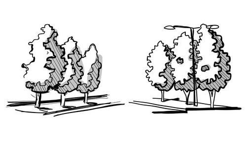 不同的手绘树被隔离在白色背景, 素描, 建筑绘画风格树设置.