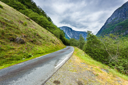 穿越夏季挪威山脉的道路。美丽的绿色自然风景在晴朗的天气, 森林在背景下