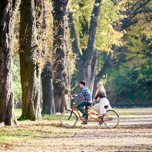 年轻浪漫情侣的侧面, 男人和金发女郎骑自行车沿公园或森林小巷与高大的树木, 明亮的阳光照耀下, 并在秋季覆盖金色的叶子