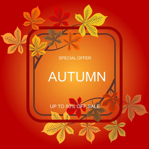 秋季销售背景布置用板栗叶装饰。适合购物或促销海报和框架传单或网页横幅