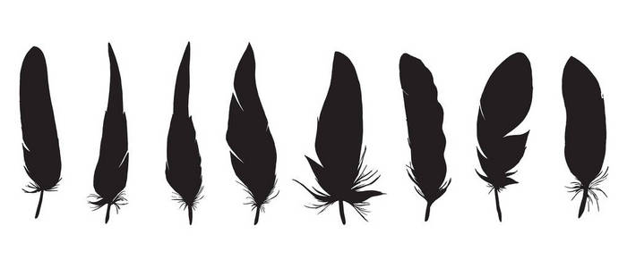 黑色和白色羽毛图片