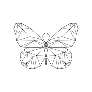 几何装饰蝴蝶照片