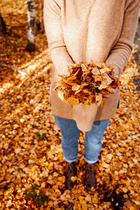 一个秋天的女人在金色的叶子肖像。秋季女子公园漫步