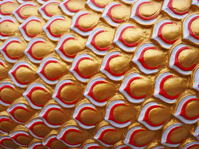 衔尾蛇或者龙鳞纹理背景照片