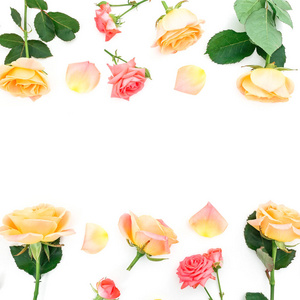 粉红色和黄色玫瑰花图案, 花瓣在白色背景上被隔离, 顶部视图