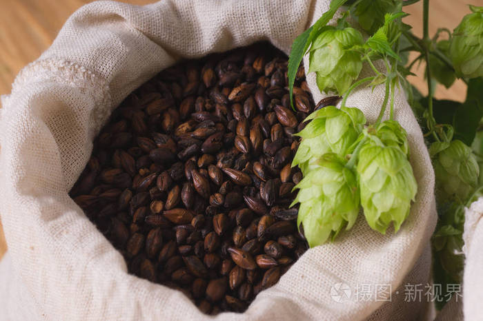 在袋子里的啤酒花和巧克力麦芽锥.顶部视图, 特写.啤酒行业的配料.