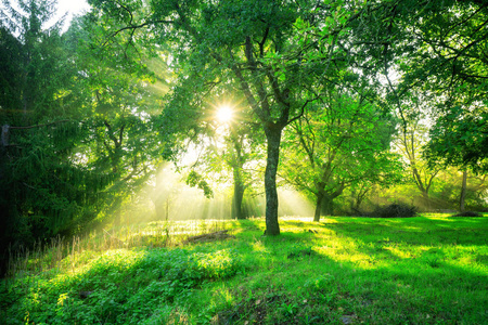 自然风景摄影图