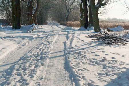 森林雪覆盖的路, 路在森林下雪