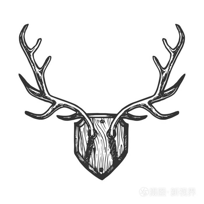 插画 鹿角雕刻矢量插图.刮板风格模仿.黑白手绘图像.eps