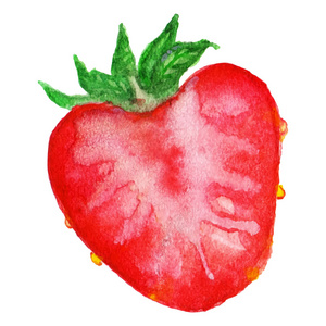 水彩一半的草莓浆果孤立矢量