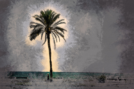 棕榈树沿着海岸在帕尔马