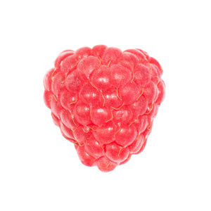 一个红色成熟的树莓在白色背景下分离