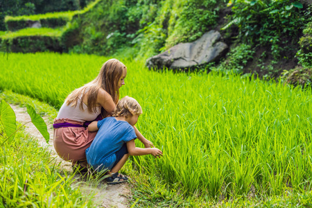 母亲和儿子看植物在茂盛的绿色米梯田, 乌布, 巴厘岛, 印度尼西亚