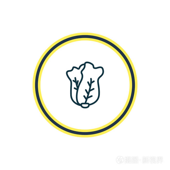 沙拉图标线的矢量插图.美丽的蔬菜元素也可以用作白菜图标元素
