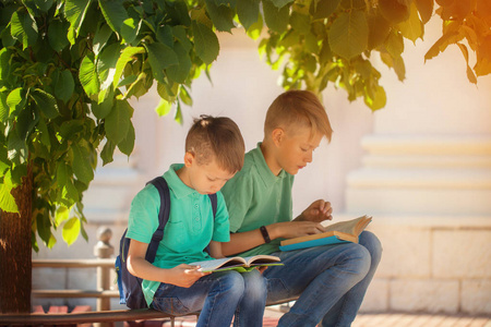 两个学校的男孩坐在树下看书, 在一个温暖的秋天的日子