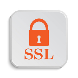 Ssl 图标。白色背景上的互联网按钮