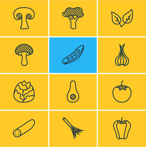 插图12蔬菜图标线风格。可编辑的保加利亚响铃, 薄荷, 鳄梨和其他图标元素集