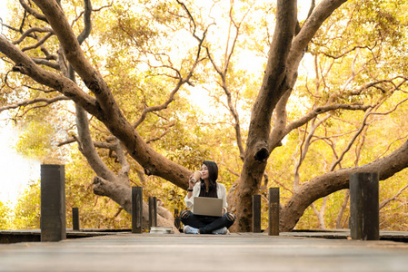 教育自然和森林后的亚洲妇女工作和喝咖啡在大树下输入笔记本电脑。红树森林培育环境, 减少全球变暖地球。生态 Concep