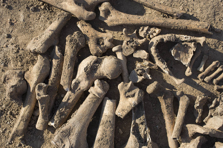 埋葬在弯曲堡垒的死亡塔附近.土耳其人处决的骨头照片