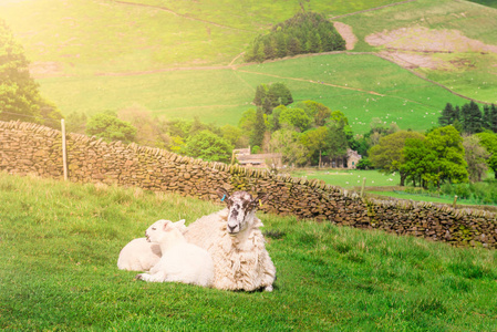 如画的风景，Edale，峰值区国家公园，德比郡，英格兰，英国附近的山坡上