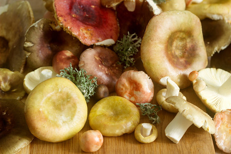 各种类型的蘑菇, 形状和颜色在木表面。选择性聚焦