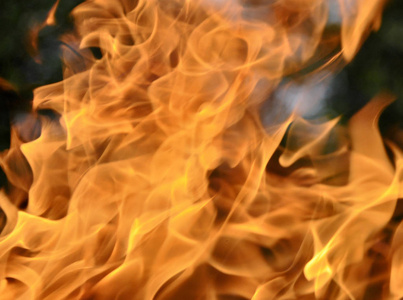 火。木柴在火中燃烧。橙色的火焰。火焰舌