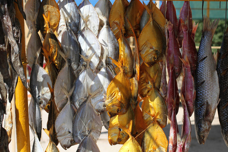 的鱼在乌克兰南部的一个街道市场上挂在绳子上的不同类型的咸干鱼照片
