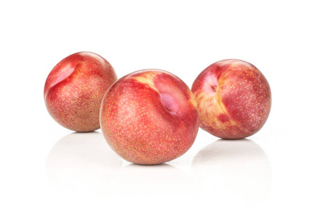 三组全鲜 pluot 种李子品种在白上分离