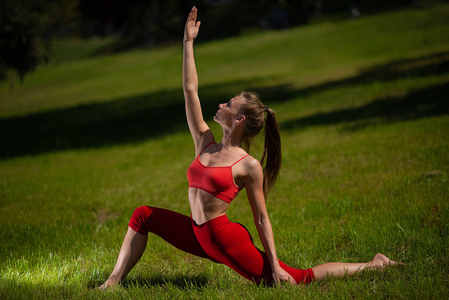 年轻有魅力的妇女在户外练习瑜伽。这个女孩在草地上做各种运动。运动, 瑜伽, 健身和健康概念