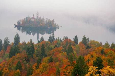 湖的惊奇的看法流血在雾的秋天早晨与多彩的森林在前景和流血的海岛与玛丽的假定的朝圣教会背景, 斯洛文尼亚