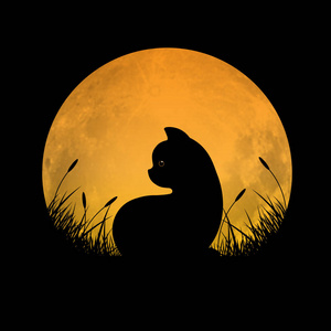 寂寞的猫图片-寂寞的猫素材-寂寞的猫插画-摄图新视界