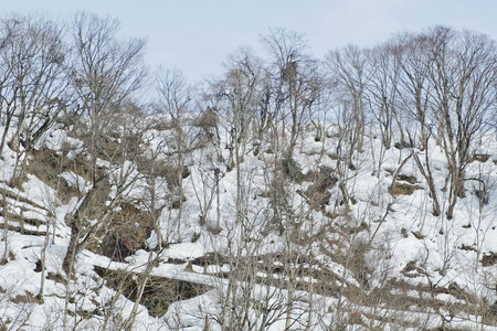 白川乡，日本历史性冬天村庄