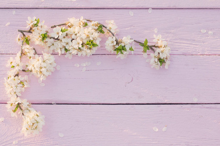 粉红色木质背景上的春天花朵