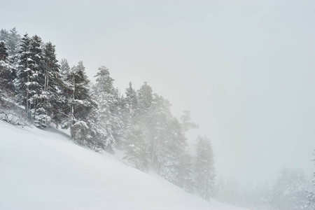 边坡 view.skis 和山 panorama.alps